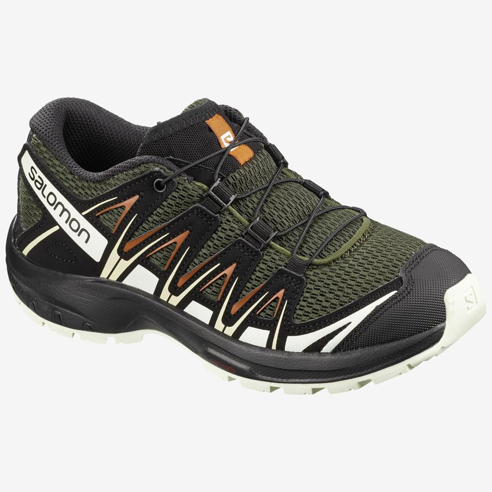 Chaussures De Randonnée Salomon Enfant Multicolore - Salomon XA PRO 3D JUNIOR - France (2751-PDVJX)